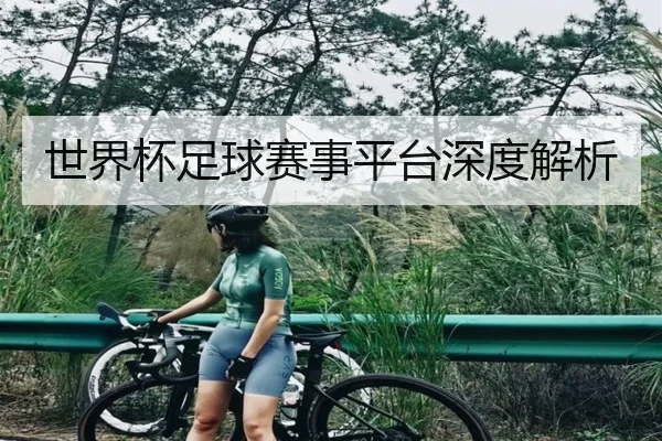 世界杯足球赛事平台深度解析