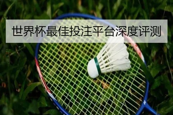 世界杯最佳投注平台深度评测
